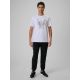 4. Men's fan t-shirt 4F 4FRSS26TTSHM4438-10S