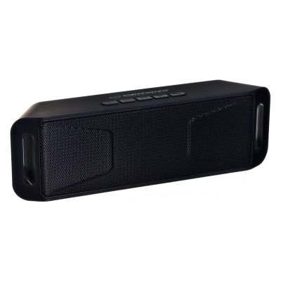 6. Esperanza FOLK EP126KK Bluetooth Speakers (Black)