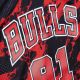 3. Mitchell & Ness Marble NBA Swingman Dennis Rodman Chicago Bulls Jersey