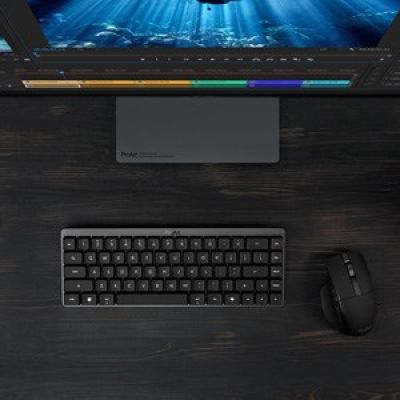 16. ASUS ProArt Mouse MD301 Universal Right Side RF Wireless + Bluetooth + USB Type-A Optical 8000 DPI