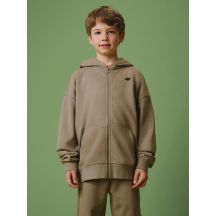 Boy's loose hooded sweatshirt 4F 4FJRSS26TSWSM3051-83S