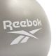 15. Reebok Gym Ball 55cm RAB-40015BK