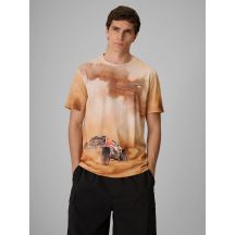 Men's regular printed T-shirt 4F 4FRSS26TTSHM4237-83A