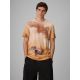 Men's regular printed T-shirt 4F 4FRSS26TTSHM4237-83A