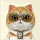 12. Nimmy Cool&Cute 2.0 Cat Case for iPhone 15 - Beige