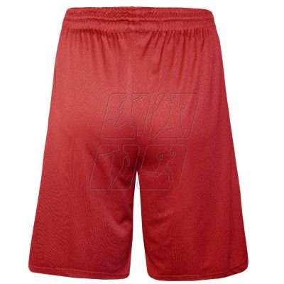 3. Colo Spring 03 Basketball Shorts