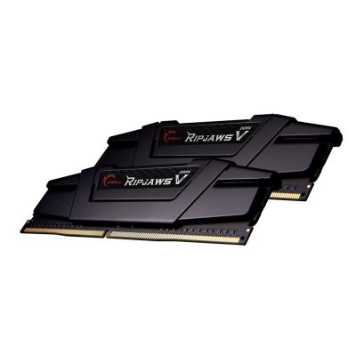 5. G.SKILL RipjawsV F4-3600C16D-32GVKC Memory Kit (DDR4 DIMM; 2 x 16 GB; 3600 MHz; CL16)
