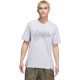 adidas Varsity Tailsweep Graphic Men's T-Shirt Gray KS2179