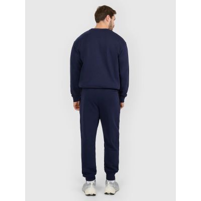 2. Men's jogger sweatpants 4F 4FRMM00TTROM1624-31S