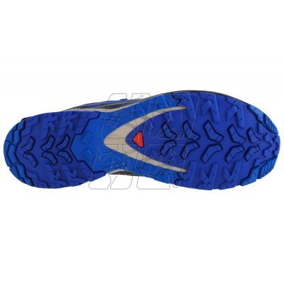4. Salomon XA Pro 3D v9 GTX M 472703 running shoes