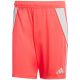 Men's adidas Tiro 24 shorts red JI6091