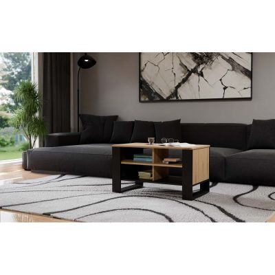 4. COFFEE TABLE MODERN 4P ARTISAN BLACK LEG