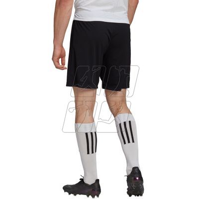 10. Adidas Entrada 22 M H57504 shorts