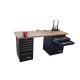 UNIOR Professional Mechanic's Workbench