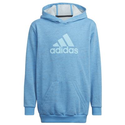 5. Adidas Badge of Sport Hoodie Jr HN8470 sweatshirt
