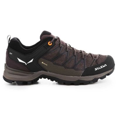 7. Salewa Mtn Trainer Lite GTX M 61361-7512 trekking shoes