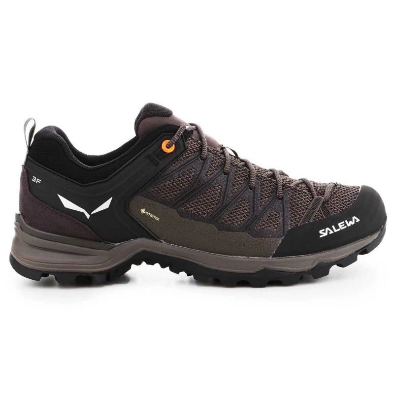 7. Salewa Mtn Trainer Lite GTX M 61361-7512 trekking shoes