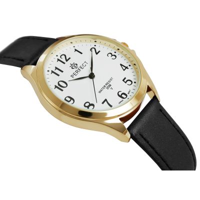 2. Men's Watch PERFECT GX412-11