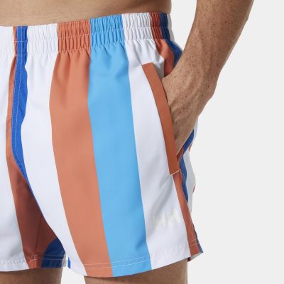 2. Helly Hansen Newport Trunk M 34296 304 Swim Shorts