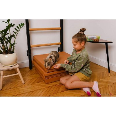 40. GYMNASTIC MATTRESS FOLDABLE BROWN 180CM BENCHK