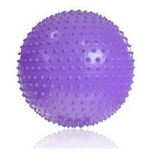 Gym ball with massage PROFIT 55cm purple DK 2104