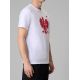 4. Men's fan t-shirt 4F 4FRSS26TTSHM4201-10S