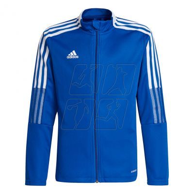 Adidas Tiro 21 Track Jr GM7315 football shirt