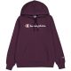 7. Champion Hooded Sweatshirt W 117529 VS503