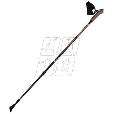 2. Sportech N SM216-D6 trekking poles