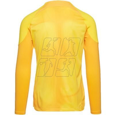 5. Nike Gardien IV Goalkeeper JSY M DH7967 719 goalkeeper shirt