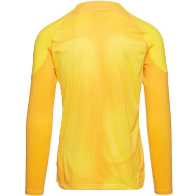 5. Nike Gardien IV Goalkeeper JSY M DH7967 719