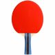 16. Cornilleau Sport 200 Table Tennis Racket