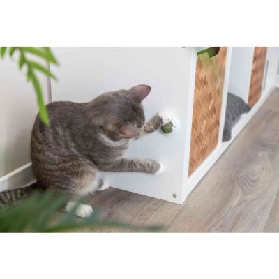 4. Catnip ball with handle, for cats, 5 cm, for sticking