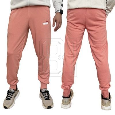 5. Puma Ess+ 2 Col Logo Pants M 586768 62