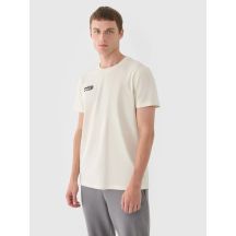 Men's regular plain T-shirt 4F 4FRAW24TTSHM2602-83S