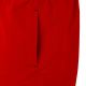5. Swimming shorts Crowell M 300/400 red