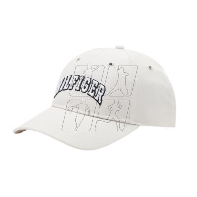 Tommy Hilfiger Surplus Cap AM0AM09489