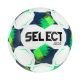 Select Goalie Reflex v26 Football White-Green 150052