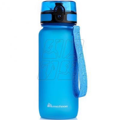 Meteor 650 ml bottle 74578