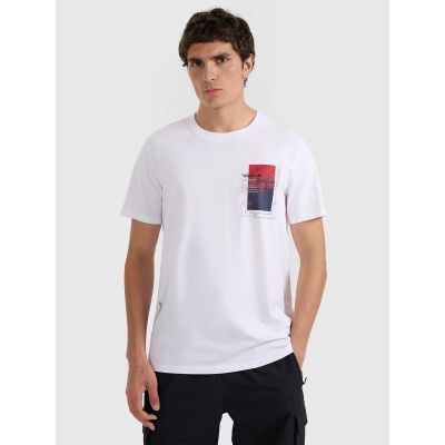 Men's regular printed T-shirt 4F 4FRAW25TTSHM3256-10S