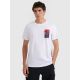 Men's regular printed T-shirt 4F 4FRAW25TTSHM3256-10S