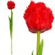 12. RED TULIP 38CM LIFE-LIKE SPRING DECORATION