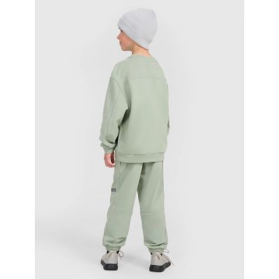 5. Boys' jogger sweatpants 4F 4FJRAW25TTROM1605-44S