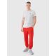 3. Men's jogger sweatpants 4F 4FWMM00TTROM1139-62S