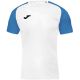 2. Joma Academy IV Sleeve football shirt 101968.207