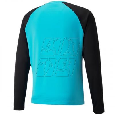 2. Goalkeeper jersey Puma teamPACER GK LS M 704933 40