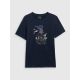 8. Men's regular printed T-shirt 4F 4FRSS26TTSHM3659-31S