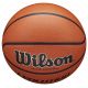 6. Wilson Evolution Indoor Game Ball for basket WTB0516XBEMEA