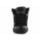 2. DC Shoes Pure high-top wc wnt M ADYS400047-3BK shoes