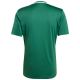 10. Men's adidas Campeon 25 Jersey green JF6063